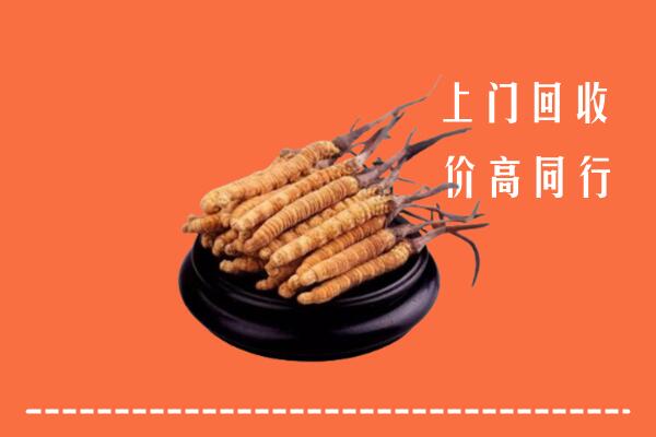 灵寿县回收冬虫夏草