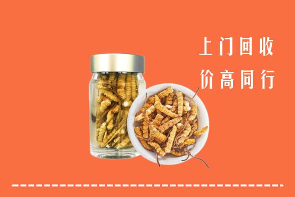 灵寿县回收冬虫夏草