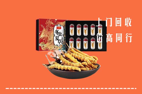 灵寿县回收虫草